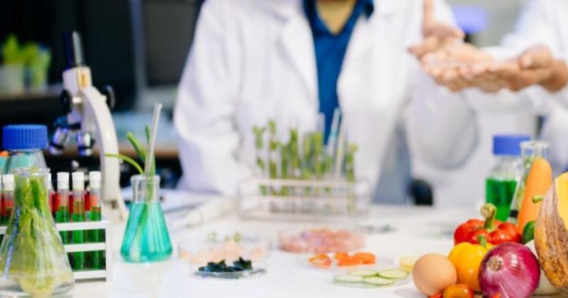 MicroLub capta €8,7 millones para impulsar alimentos bajos en grasa ante nuevas tendencias de salud