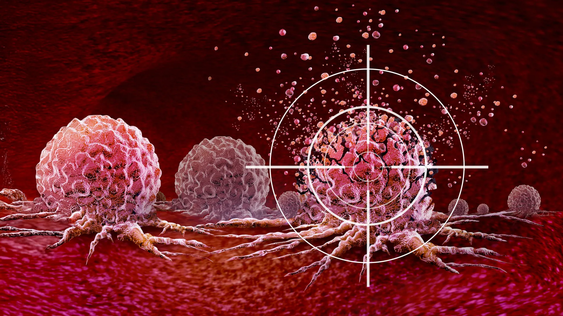 Big Picture Bio recauda €2,55 millones para impulsar terapias oncológicas combinadas diseñadas por IA