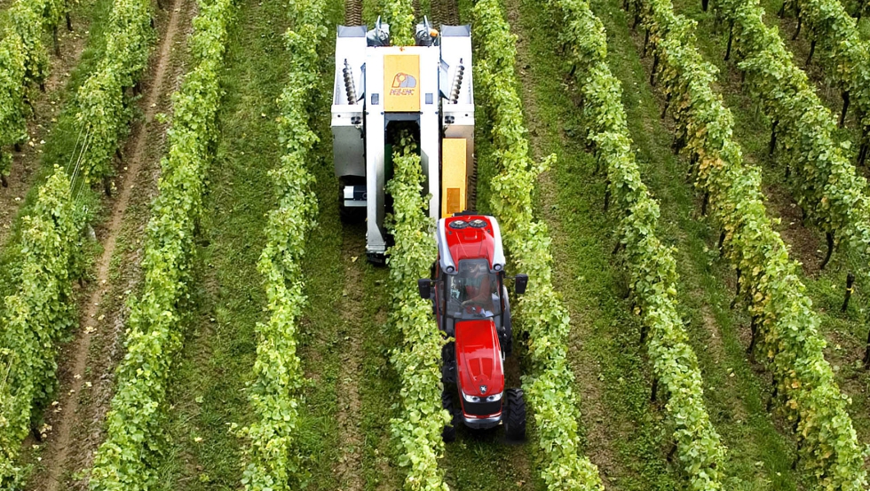 Spanish Farmers Demand Emergency Aid as Iran War Drives Up Diesel and Fertilizer Costs
