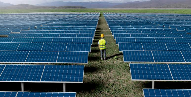 EIB backs Romania’s 1.3 GW Dama Solar with €100 million to boost Europe’s renewable push