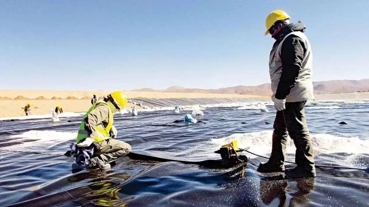Ganfeng Lithium Seeks New Partner to Advance Strategic Argentina Project