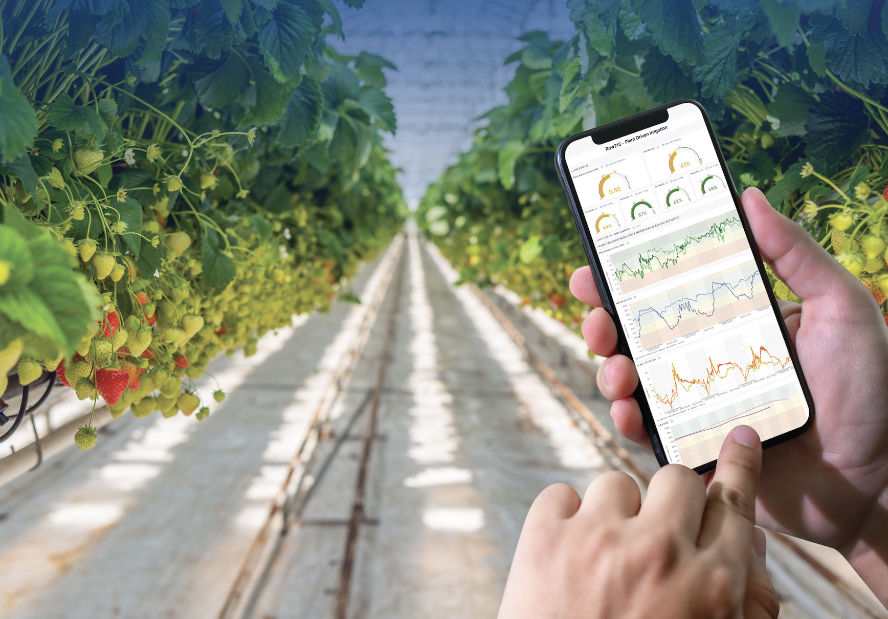 Swiss AgTech Vivent Biosignals brings AI technology that gives plants a “voice” to Argentina